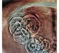 Pink Floyd - Meddle [sound recording]
