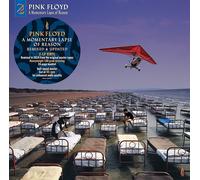 Pink Floyd – Momentary Lapse Of Reason – Vinilo (Importación USA) – Sony Music