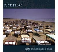 Pink Floyd - Momentary Lapse of Reason