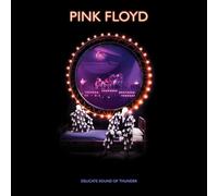 Pink Floyd - Pink Floyd - Delicate Sound Of Thunder [Restored, Re Remixed]