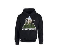 Pink Floyd Sudadera 'Pink Floyd - Atom Heart Hoodie Kapuzenpullover' negro XL EUR