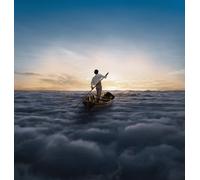 Pink Floyd The Endless River (Vinyl) (Importación USA)