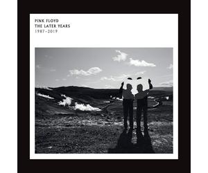 Pink Floyd - The Later Years 1987-2019 (2 LP)