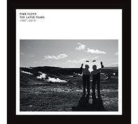 Pink Floyd The Later Years (1987-2019) Highlights (Vinyl)