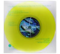 Pink Floyd Tribute B - If You Were in the Middle [Vinilo]