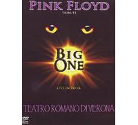 Pink Floyd tribute - Live in tour - Teatro Romano di Verona [Italia] [DVD]