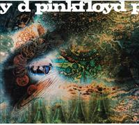 Pink Floyd - Un Platillo Volador De Secretos