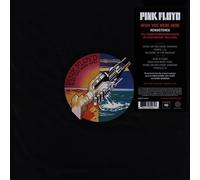 Pink Floyd Wish You Were Here (Vinyl) (Importación USA)
