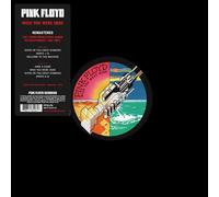 Pink Floyd Wish You Were Here (Vinyl) (Importación USA)