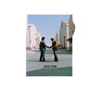 Pink Floyd Wish You Were Here (Vinyl) (Importación USA)