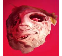 Pink Lint - Don'T Pull the Rug from Under Your Horse [Vinilo]