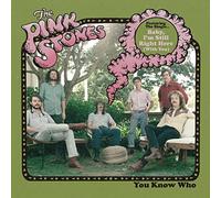 Pink Stones - You Know Who [Vinilo]