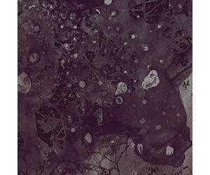 Pinkish Black - Razed To The Ground