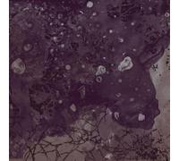 Pinkish Black - Razed to the Ground