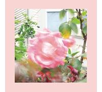 Pinks and Purples Reds - Summer At Land's End