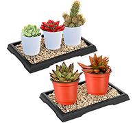 Pinkunn Paquete de 2 bandejas de humedad para bonsái, bandeja de goteo de plástico para plantas y agua, platillos para interiores y exteriores, cactus, suculentas, árbol bonsái, piedra no incluida