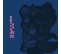 Pino Palladino And Blake Mills - That Wasn't A Dream (LP)