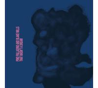 Pino Palladino And Blake Mills - That Wasn't A Dream (LP)