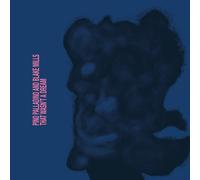 Pino Palladino & Blake Mills That Wasn't a Dream (Vinyl) (Importación USA)