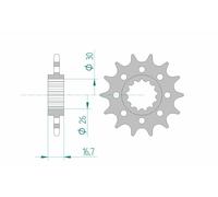Piñón de acero estándar 20613 - 520