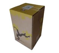Pinot Grigio, Dominio del Barillière, Valle del Loira, Cubito 10 litros.