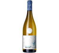 Pinot Gris - Parcelles 2025 - Réthoré Davy