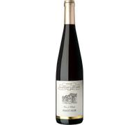 Pinot Noir 2023 - Dominio Allimant-Laugner