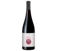 Pinot Noir 2025 - Sophie Schaal