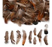 Pinsheng 10 Estilos Plumas Artesanales Surtidas, 200 Piezas Plumas de Pollo Naturale Plumas de Faisán Decorado Manualidades para DIY Pendiente Alas Dream Catcher Artesanía Actividades Boda Decoración