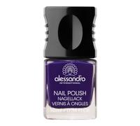 pintar Alessandro Norma 58 de la zarzamora, Paquete 1er (1 x 10 ml)