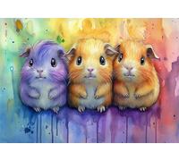 Pintar por Numeros Adultos 1 Piezas DIY Pintura por Números con Pinceles y Pigmento Kit, Animal Pintar por Numeros Niños, con Lienzo sin Arrugas Kit Manualidades Adultos 70x100 cm, Hámster X-7987