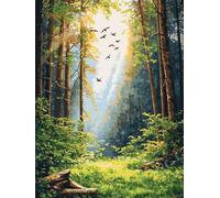 Pintar por Numeros Adultos, 30x40cm Naturaleza Pintura por Numeros Adultos, Paint by Numbers Adult Bosque con Pinceles Pigmento Acrílico, Paint by Numbers para Home Decoracion Hogar, Sin Marco R-59