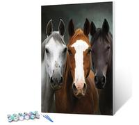 Pintar por Numeros Adultos Animal, Pintar por Numeros Niños con Marco Caballo, DIY Cuadros Manualidades Adultos Kits, Paint by Numbers con Pinceles y Pinturas Acrílicas, Deco Hogar, 60x90cm V-3633