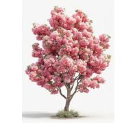 Pintar por Numeros Adultos áRbol, Flor Pintar por Numeros Manualidades Adultos, DIY Paint by Numbers kits con Pinceles y Pinturas Acrílicas, Decoracion Hogar Otoño, Regalo Mujer, 30x40cm 2-4953