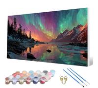 Pintar por Numeros Adultos, Aurora Pintar por Numeros Bosque Paint by Numbers Adult Principiante kit con 3 Pinceles y Pigmento Acrílico para Decoracion Habitacion, Regalo Mujer (60 * 120cm) -hcw2507ED