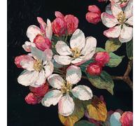 Pintar Por Numeros Adultos Blanca, Pintar Por Numeros NiñOs flores, DIY Pintura Acrilica Manualidades Adultos Set Para Regalos Originales Para Mujer, Cuadros Decoracion Salon Modernos 50x50cm 3-37