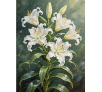 Pintar por Numeros Adultos Blanco Lirio, Kit de Pintura por Numeros Principiantes, DIY Paint by Numbers, Manualidades Adultos con Pinceles y Pigmentos, Regalo Mujer, Decoracion Hogar 60x80cm YT6-139