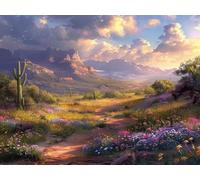 Pintar por Numeros Adultos, Cactus Kit de Pintar por Números para Principiante al óleo de Lienzo DIY, Pintura Acrilica Manualidades Adultos, Flor Paint by Number Kits, Decorar Hogar 60x80 cm O-1616