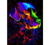 Pintar por numeros Adultos - Colorido retrato de perro Labrador - Pintura al óleo de Bricolaje Lienzo niños y Principiante Paint Pintura decoración del hogar Arte Regalo 40x50 cm(Sin Marco)