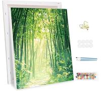 Pintar por Numeros Adultos con Marco, Bosque Paint by Number Kits, con Pinceles y Pigmento Acrílico, DIY Paisajes Pintura al óleo Colorear Lienzo Manualidades, Decoración del Hogar 60x80cm -47618