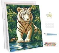 Pintar por Numeros Adultos con Marco, Bosque Paint by Number Kits, con Pinceles y Pigmento Acrílico, DIY Animales Pintura al óleo Colorear Lienzo Manualidades, Decoración del Hogar 60x80cm -47598