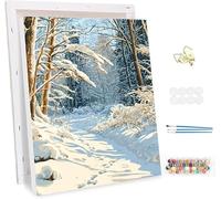 Pintar por Numeros Adultos con Marco, Invierno Paint by Number Kits, con Pinceles y Pigmento Acrílico, DIY Paisajes Pintura al óleo Colorear Lienzo Manualidades, Decoración del Hogar 60x80cm -47622