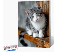 Pintar por Numeros Adultos con Marco Lindo, Pintar por Numeros Gato, DIY Manualidades Adultos, Paint by Numbers Kit con Pinceles y Pinturas Acrílicas, Decoracion Habitacion, Regalos 30x40cm 3-7026