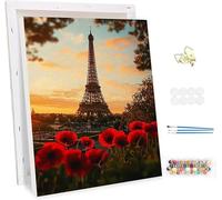 Pintar por Numeros Adultos con Marco, París Paint by Number Kits, con Pinceles y Pigmento Acrílico, DIY Flores Pintura al óleo Colorear Lienzo Manualidades, Decoración del Hogar 40x50cm -46742