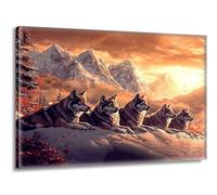 Pintar por Numeros Adultos Cordillera Lobo, Pintar por Numeros sin Marco, DIY Kit Pintura Creative para Manualidades Adultos con Pinceles y Pigmento, Cuadros Decoracion Hogar, Regalo 20x30cm L-g-344