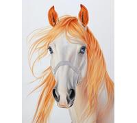 Pintar por Numeros Adultos, DIY Pintura por Números, Paint by Numbers con 3 Pinceles y Pigmento Acrílico, Manualidades Adultos Kit óleo de Lienzo 20x30cm,Decoración para el Hogar caballo animal L0-839