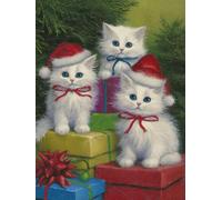 Pintar por Numeros Adultos, DIY Pintura por Números, Paint by Numbers con 3 Pinceles y Pigmento Acrílico, Manualidades Adultos Kit óleo de Lienzo 20x30cm, Decoración para el Hogar Regalo gato L0-818