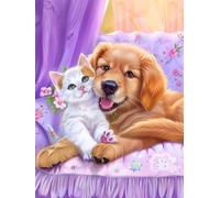 Pintar por Numeros Adultos, DIY Pintura por Números, Paint by Numbers con 3 Pinceles y Pigmento Acrílico, Manualidades Adultos Kit óleo de Lienzo 20x30cm, Decoración para el Hogar gato perro L0-867