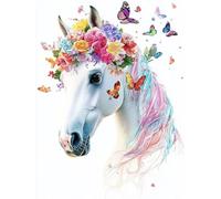 Pintar por Numeros Adultos, DIY Pintura por Números, Paint by Numbers con 3 Pinceles y Pigmento Acrílico, Manualidades Adultos Kit óleo de Lienzo 20x30cm, Decor para el Hogar caballo Mariposa L0-842