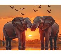 Pintar por Numeros Adultos Elefante Pintar por Numeros Niños 6 Años, DIY Manualidades Paint by Numbers Atardecer, Kit de Pintura con Pinceles y Pigmento Acrílico, Decor del Hogar Regalo 20x30cm Y2-998